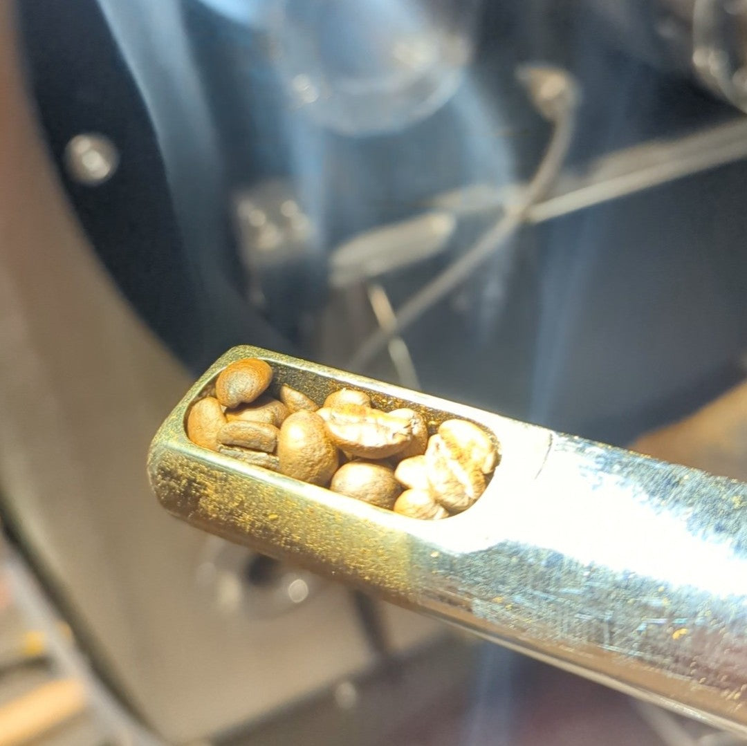 Image of a coffee sampling spoon with parsley roasted beans in it with smoke risinl.  You can see the coffee roasted in the background 