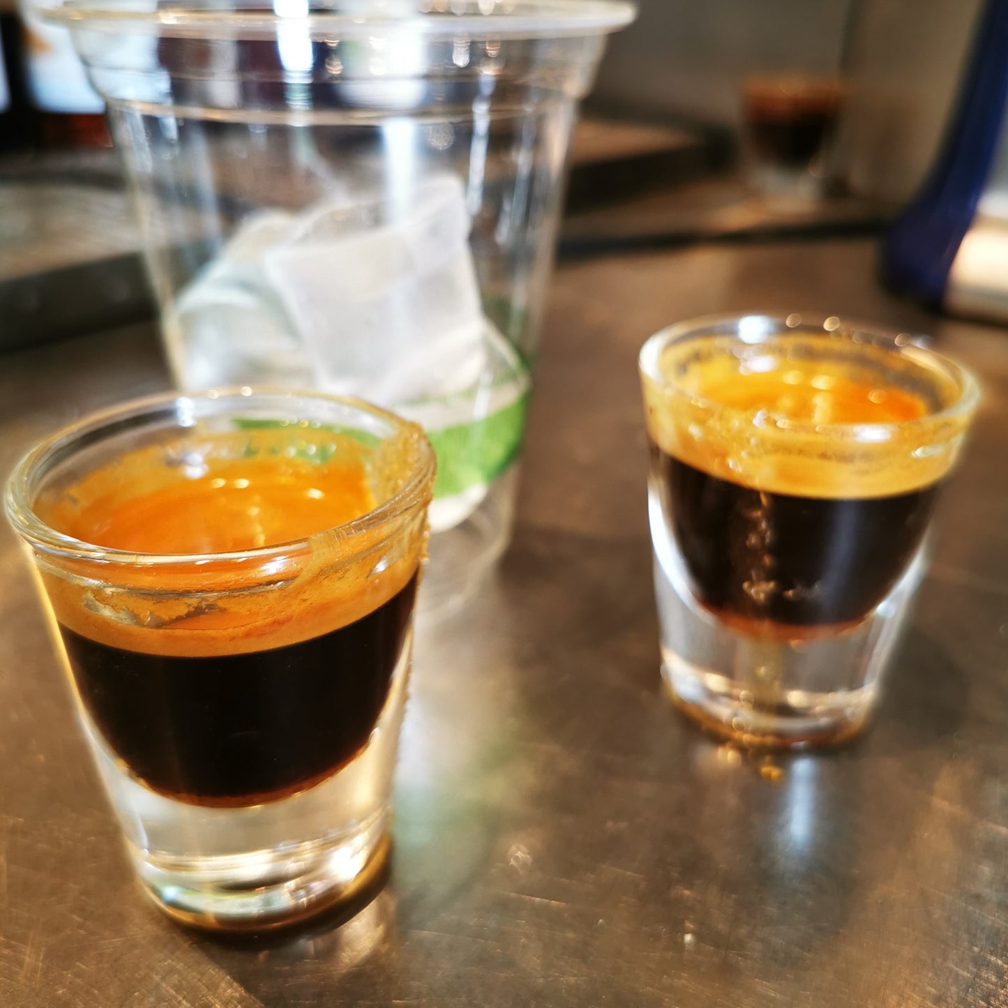 Wildcard Coffee | Fruit and Nut Blend